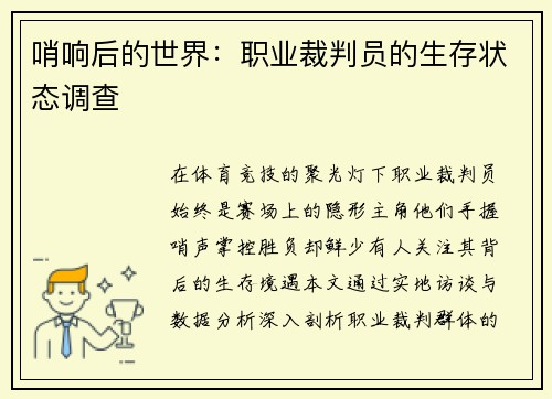 哨响后的世界：职业裁判员的生存状态调查